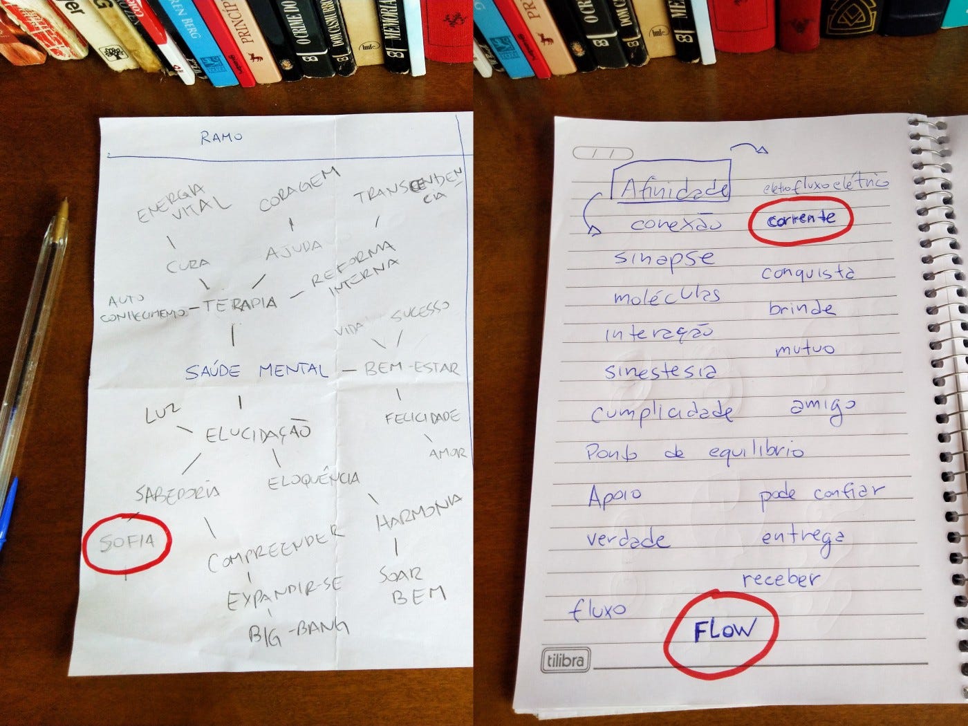 Naming process from the main aspects